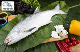 Fresh Fish